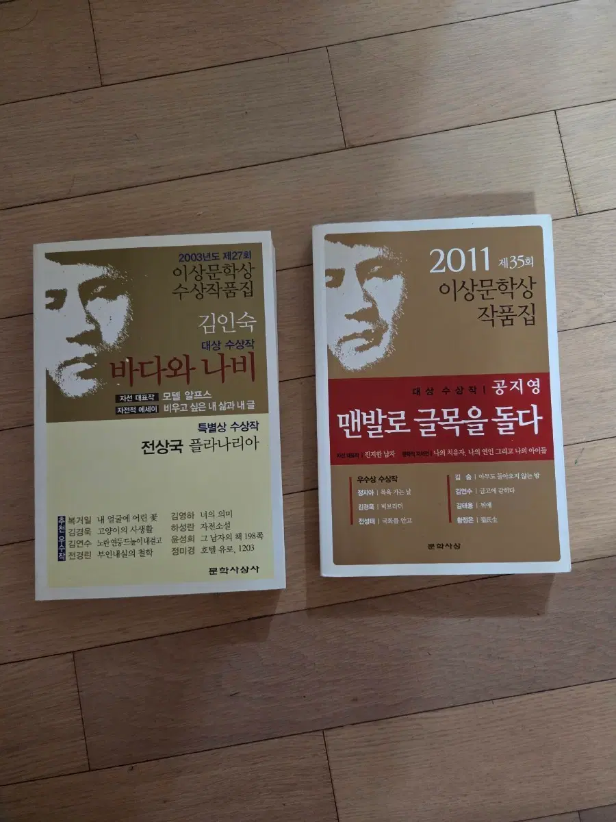 김인숙 바다와 나비 / 공지영 맨발로 글목을 돌다 이상문학상 수상작품집