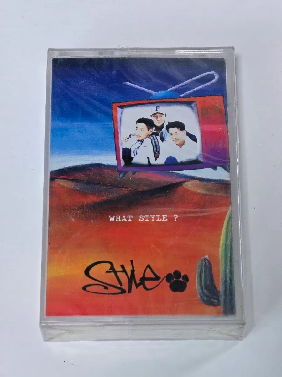 [미개봉] 스타일(Style) 1집 - What Style