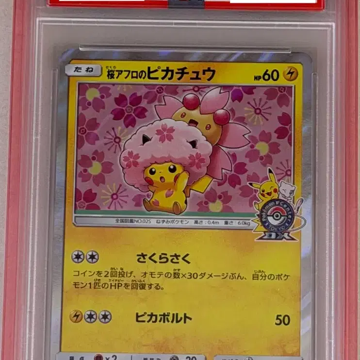 포켓몬 카드 일판 벚꽃 아프로 피카츄 프로모 PSA10