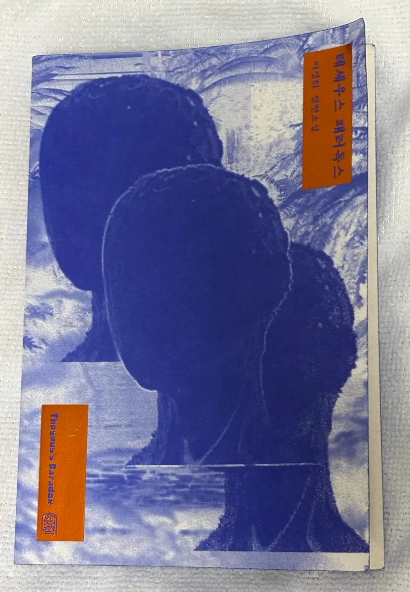 테세우스 패러독스