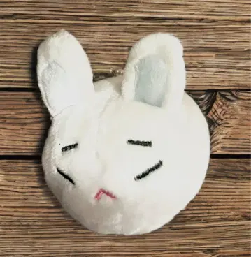 INFINITE 성규 토끼 봉제 인형 마스코트 키링