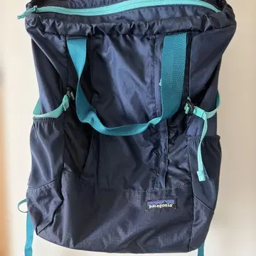 Patagonia Lightweight Travel Tote Pack