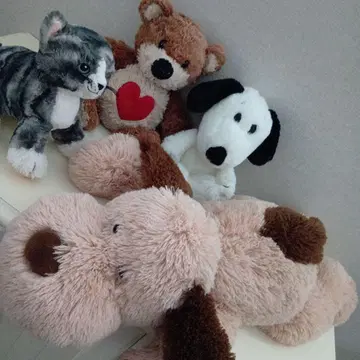 봉제 인형 (70cm) 4개 세트 강아지, 고양이, 곰, 스누피
