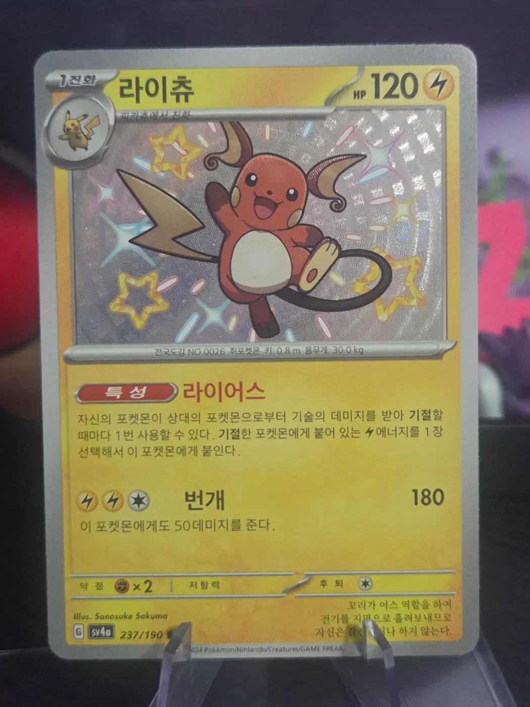 한글판 라이츄 이로치 237/190