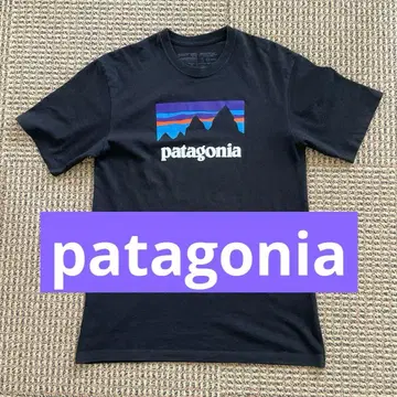 Patagonia Responsibili-tee 티셔츠 블랙 S