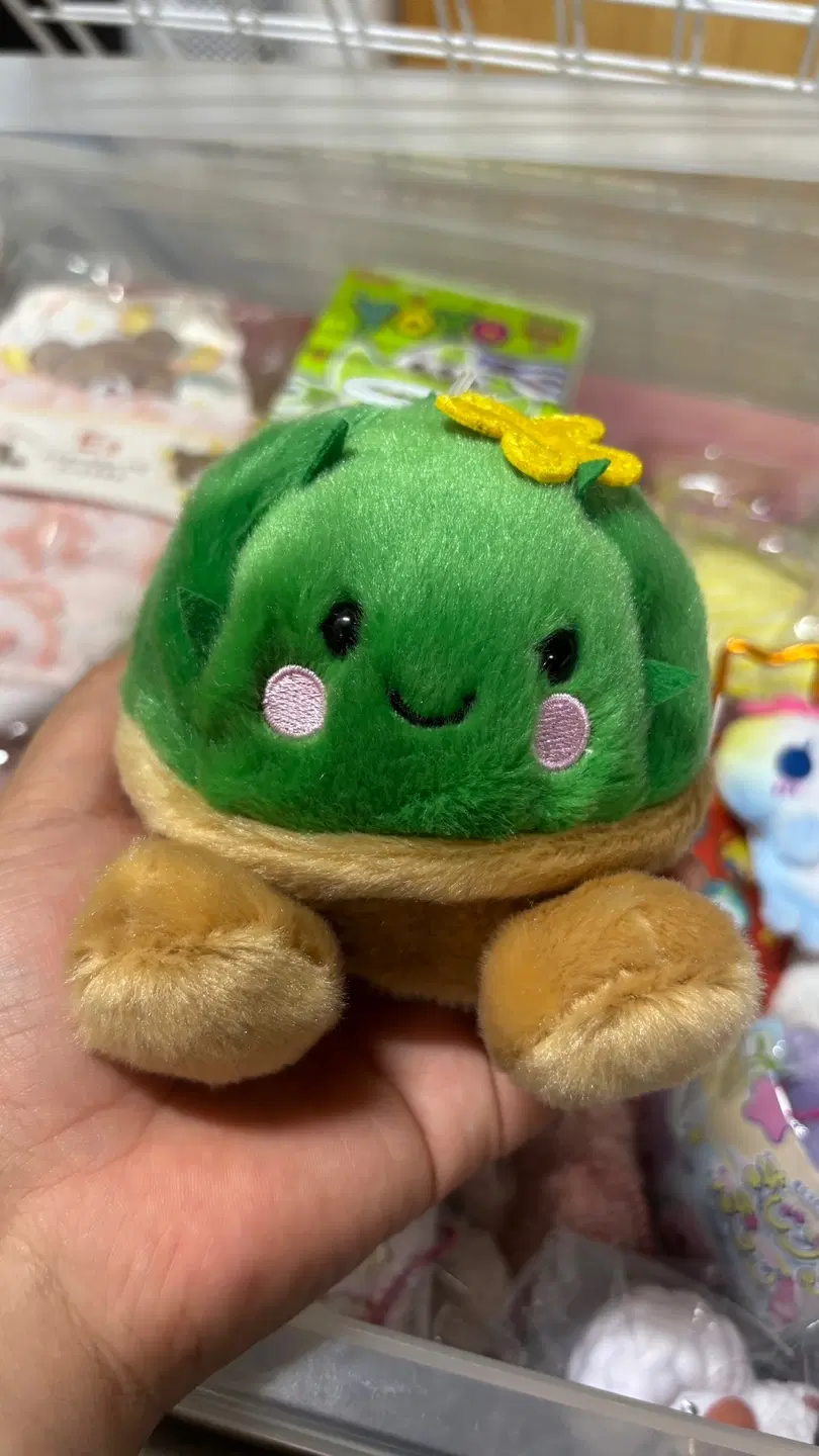식물 선인장 인형