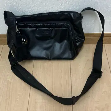 ANNA SUI 원더 숄더백 블랙 고양이 참 포함