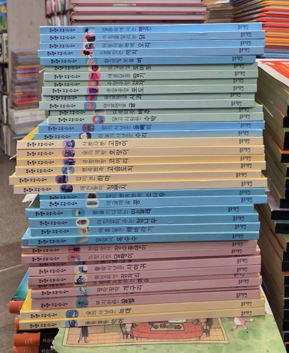 블루래빗키즈 생생 자연관찰 블루래빗 39권 세트 어린이책 중고책