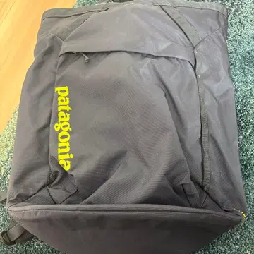 Patagonia 백팩 백팩 그레이