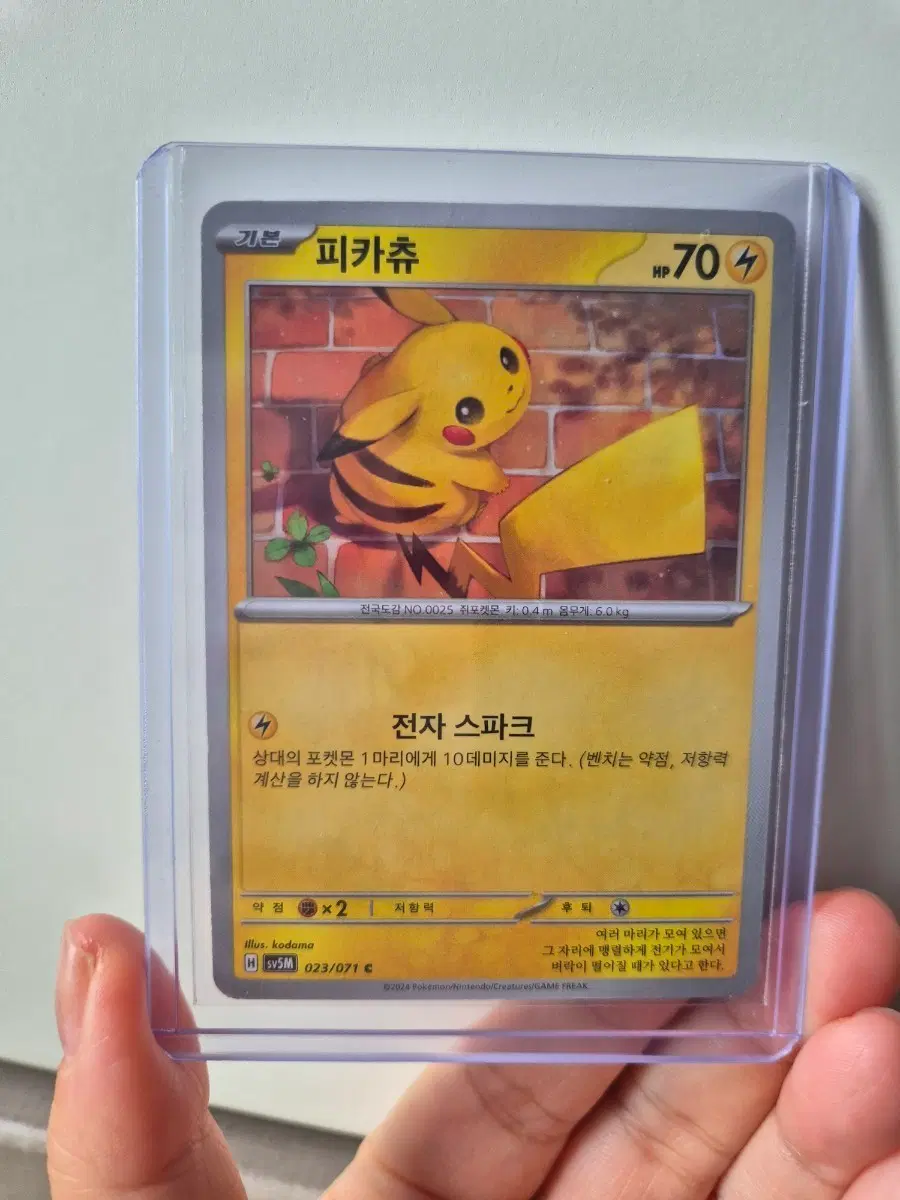 포켓몬 카드 피카츄 벽돌츄