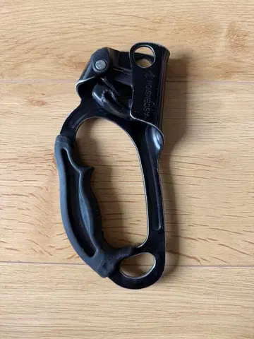 PETZL ASCENSION 어센더 블랙