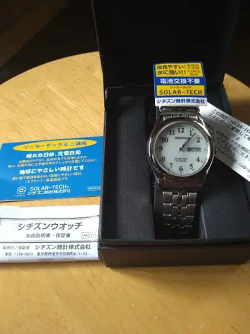 시티즌 CITIZEN REGUNO 레그노 E101-K005299