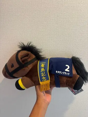 제62회 아리마 기념 키타산 블랙 봉제 인형