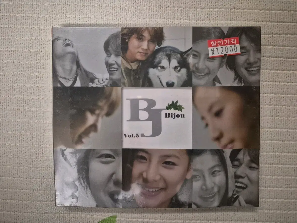 비쥬 5집 초록비가 내리는 세상 Cd