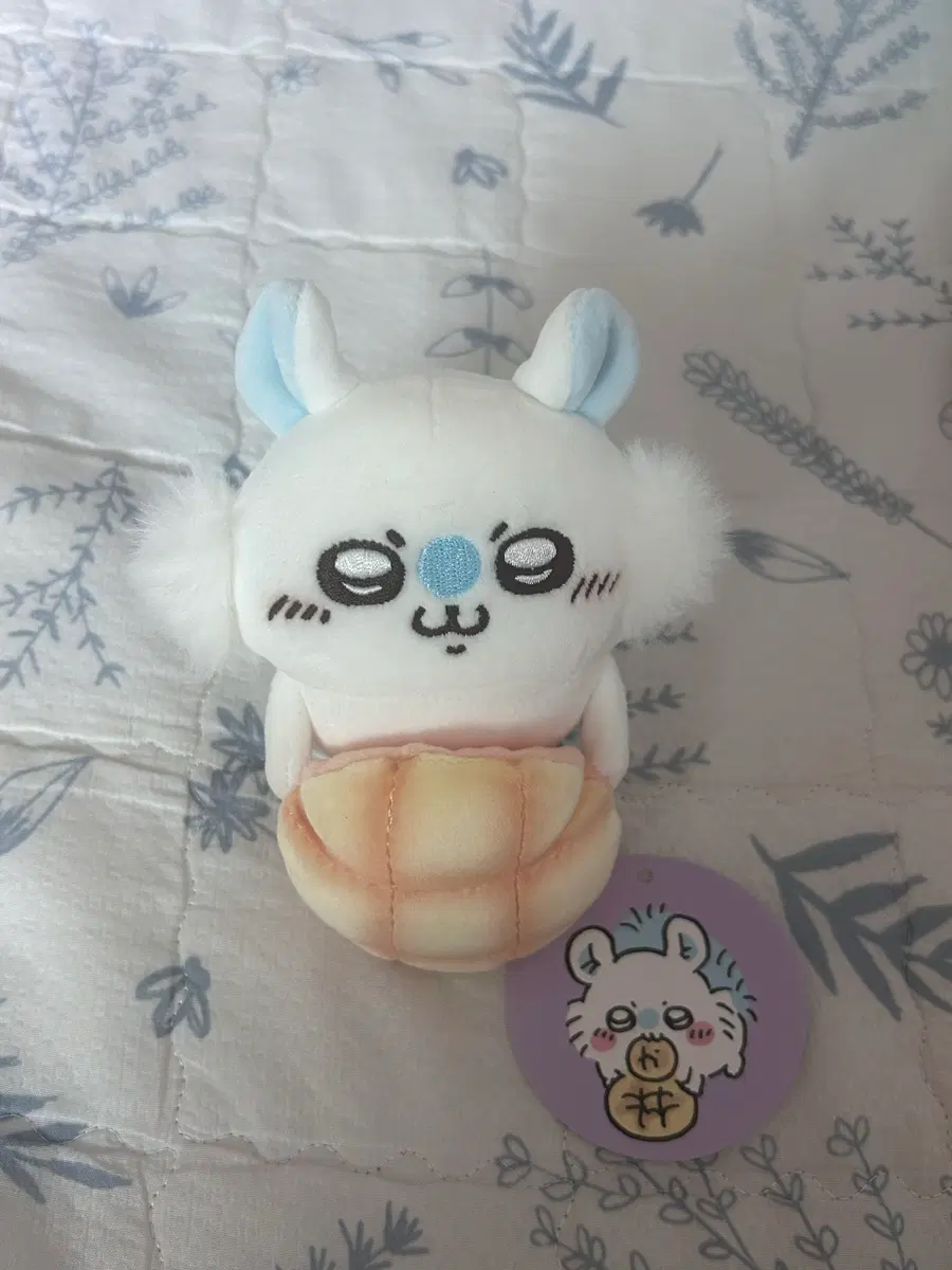 메론빵 모몽가