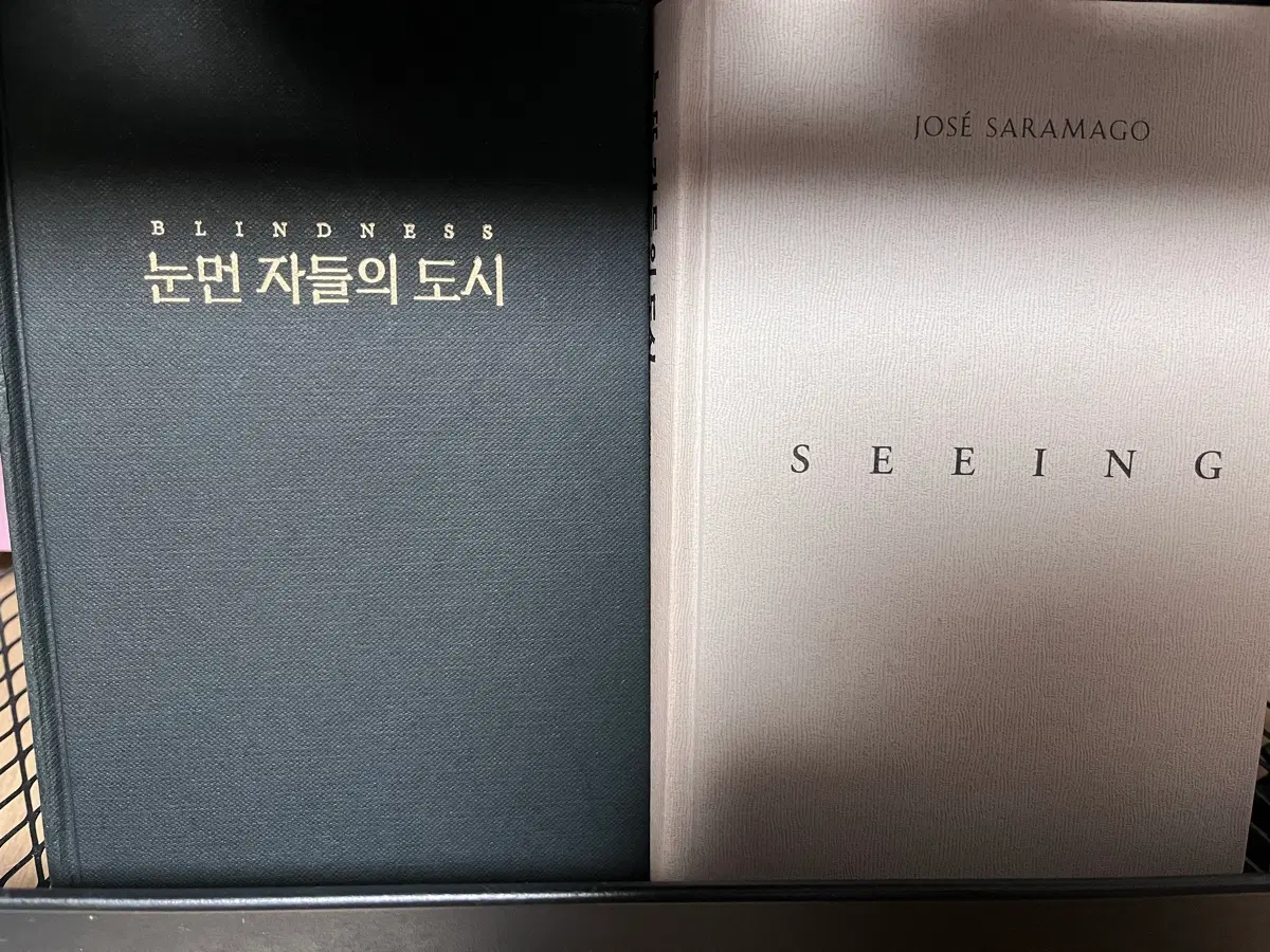 눈먼 자들의 도시 및 눈뜬 자들의 도시