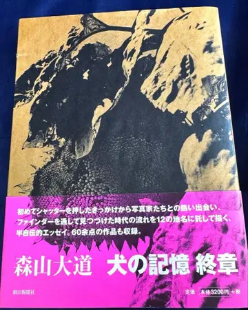 개의 기억 종장 모리야마 다이도 Daido Moriyama 초판 오비 포함