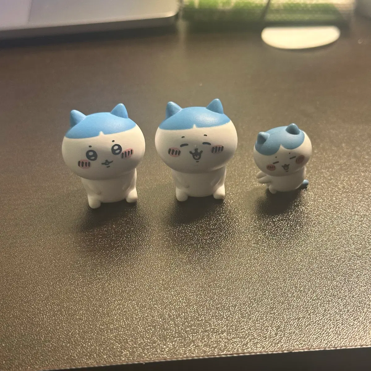 먼작귀 하치와레