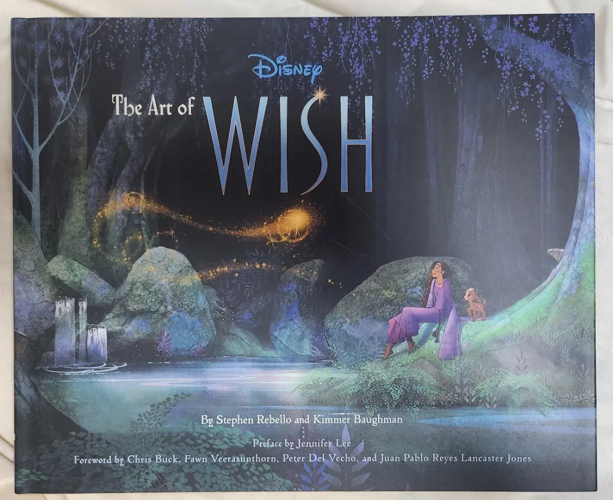 디즈니 위시 아트북 the art of WISH