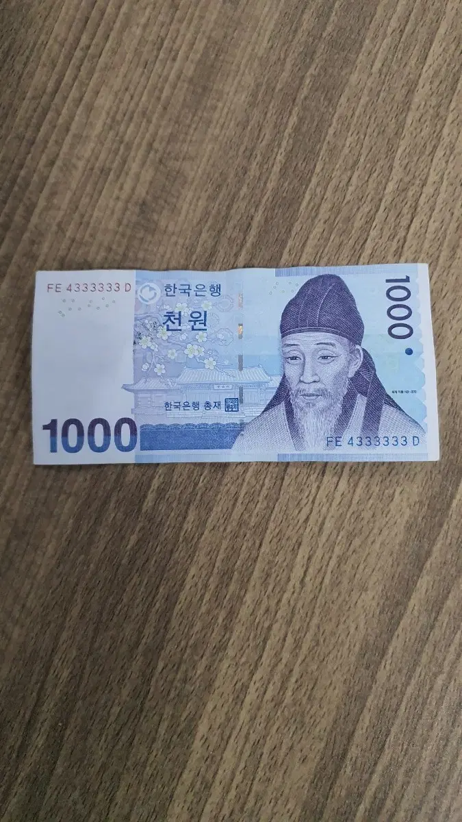 천원사용제준솔리드
