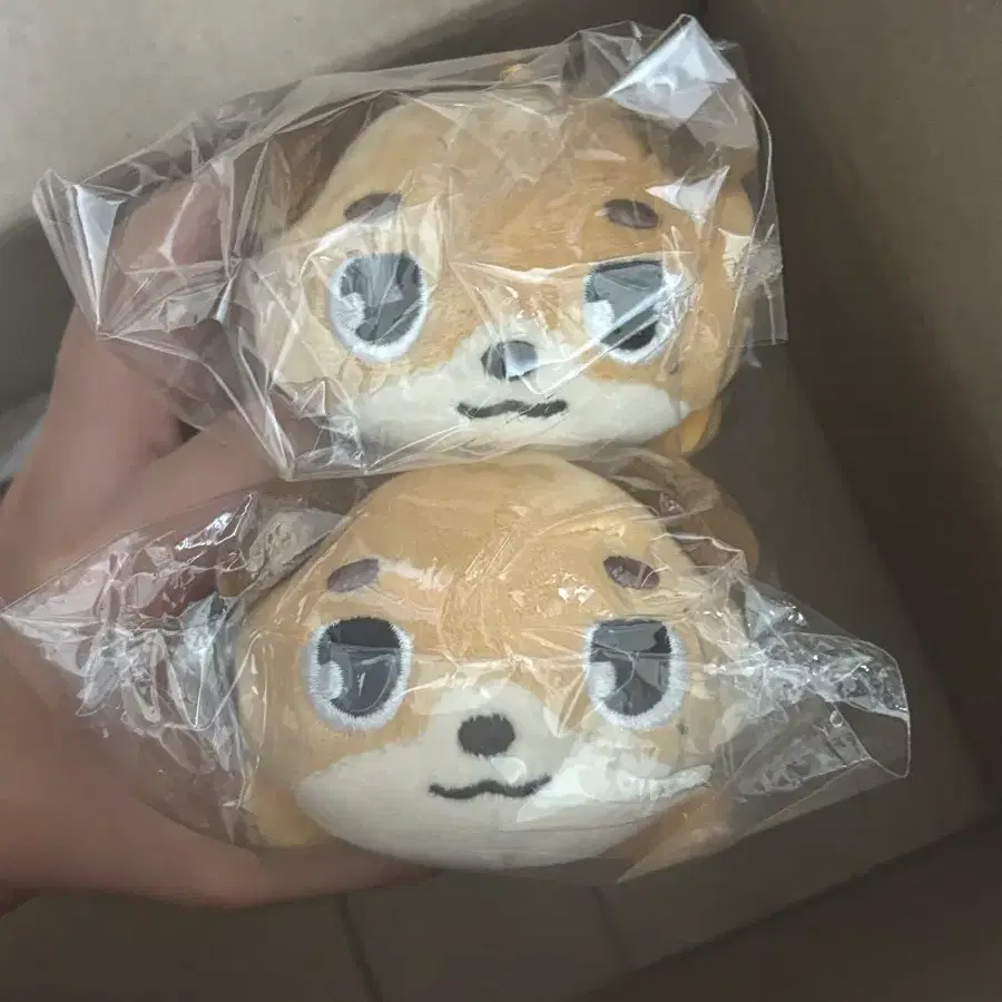 플라잉 데멀 돈 양도