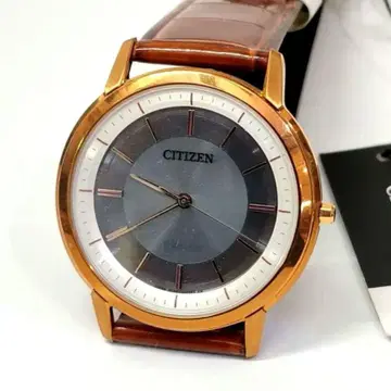 새상품 시티즌 CITIZEN 엑시드 남성용 손목시계 AR4002-17A