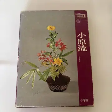 올 컬러 이케바나 전서 오하라류 소학관