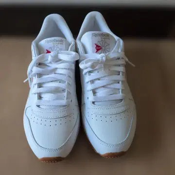 Reebok 25.5cm 클래식 레더 화이트 GY0952 리복