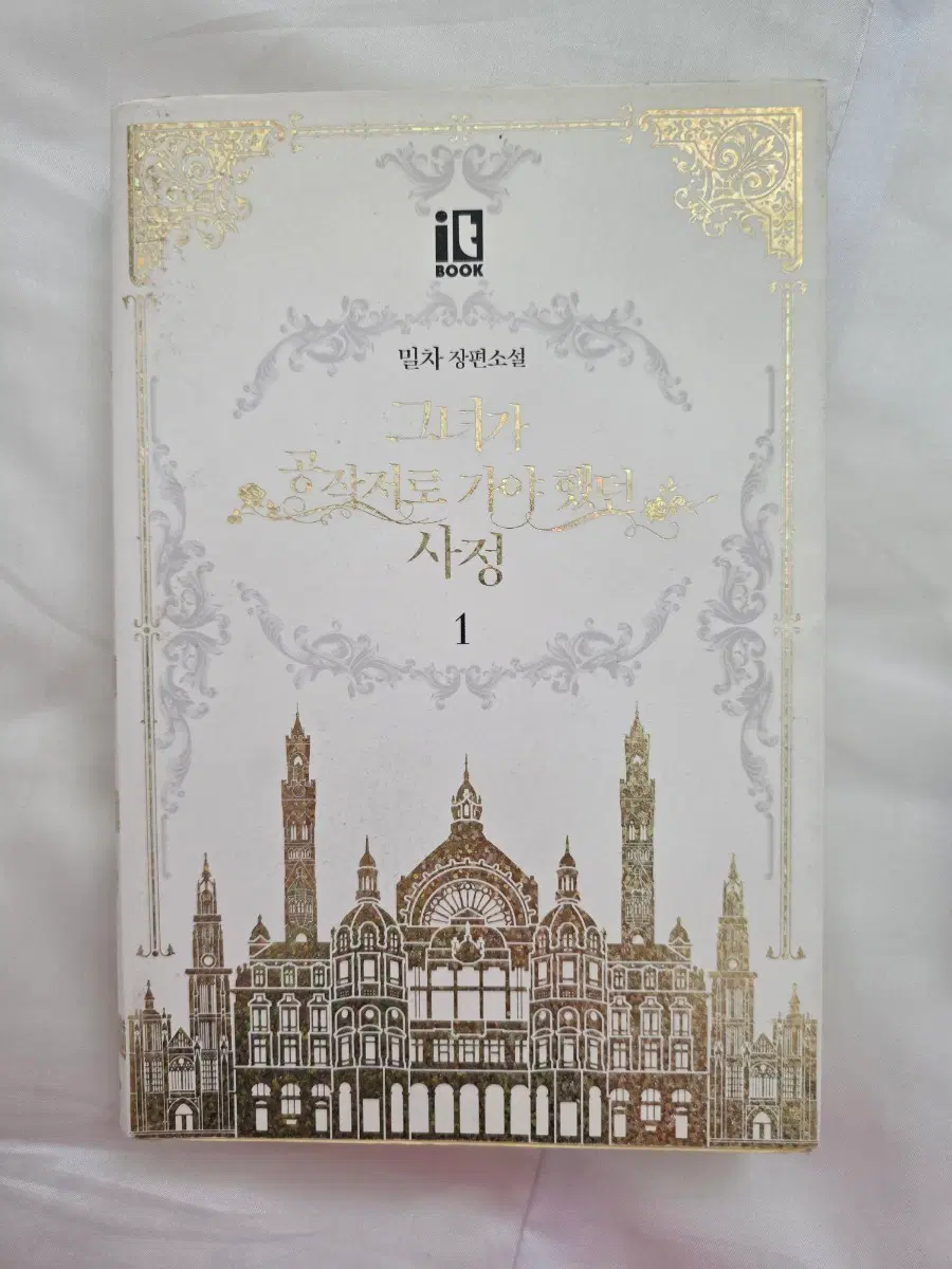 [장편소설] 그녀가 공작저로 가야 했던 사정 1