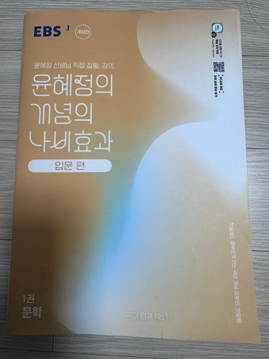 EBS 윤혜정 개념의 나비효과 1권 문학 시, 소설 입문편