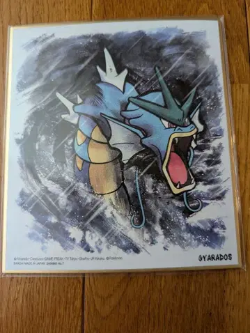 포켓몬 색지ART 갸라도스