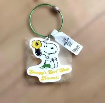 긴자 미츠코시 스누피전 스누피 서프샵 키링