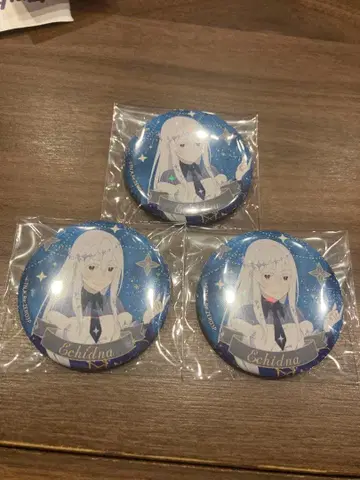 에키드나 캔뱃지 3개