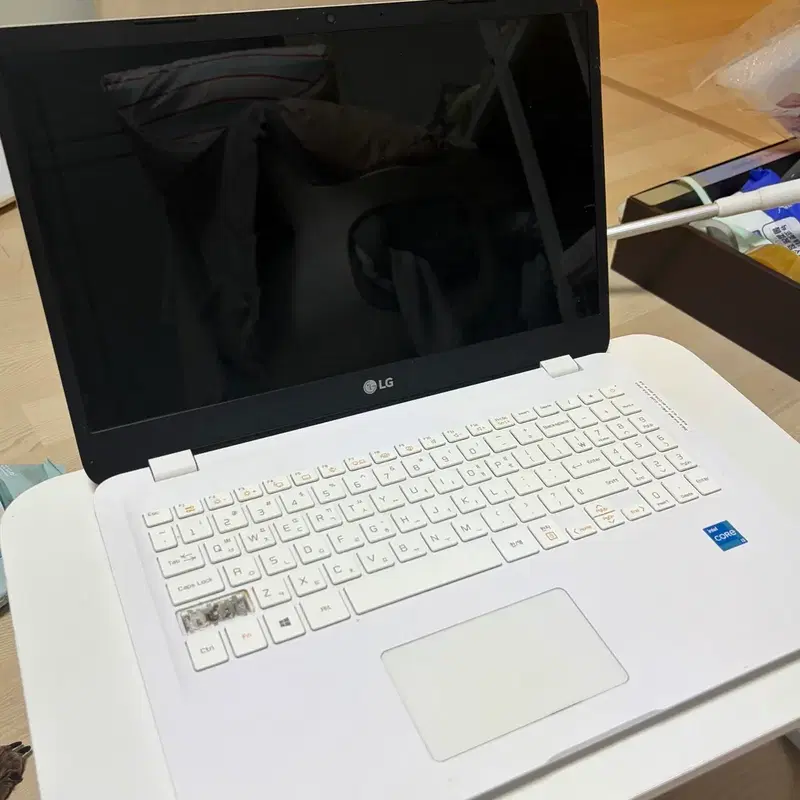 LG 노트북 15U50P-GR31K