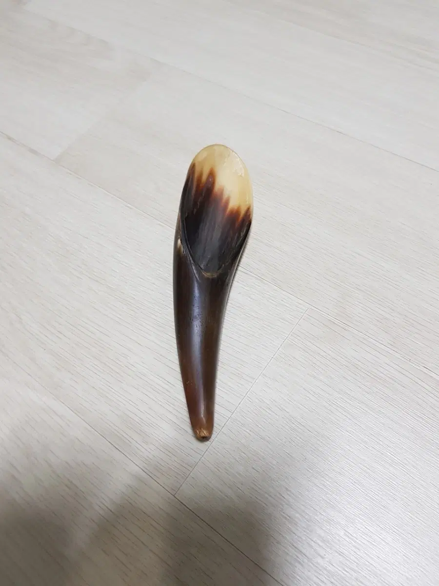 물소뿔차시
