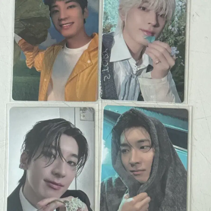 세븐틴 원우 위버스 특전 포카 일괄