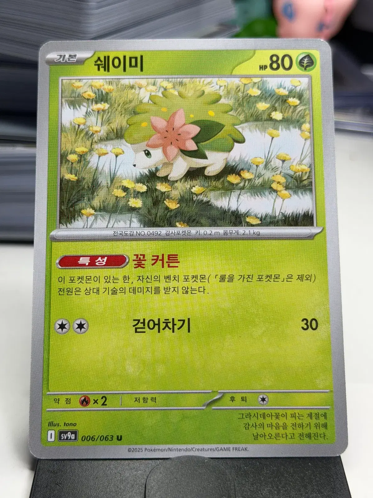 쉐이미 sv9a 006/063 U (400원)