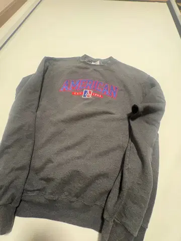 Champion 맨투맨 AMERICAN 자수 그레이