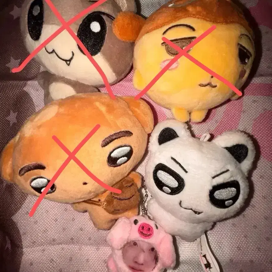 윰달이 난데야넹 똥키 타키마루 유마포토톡