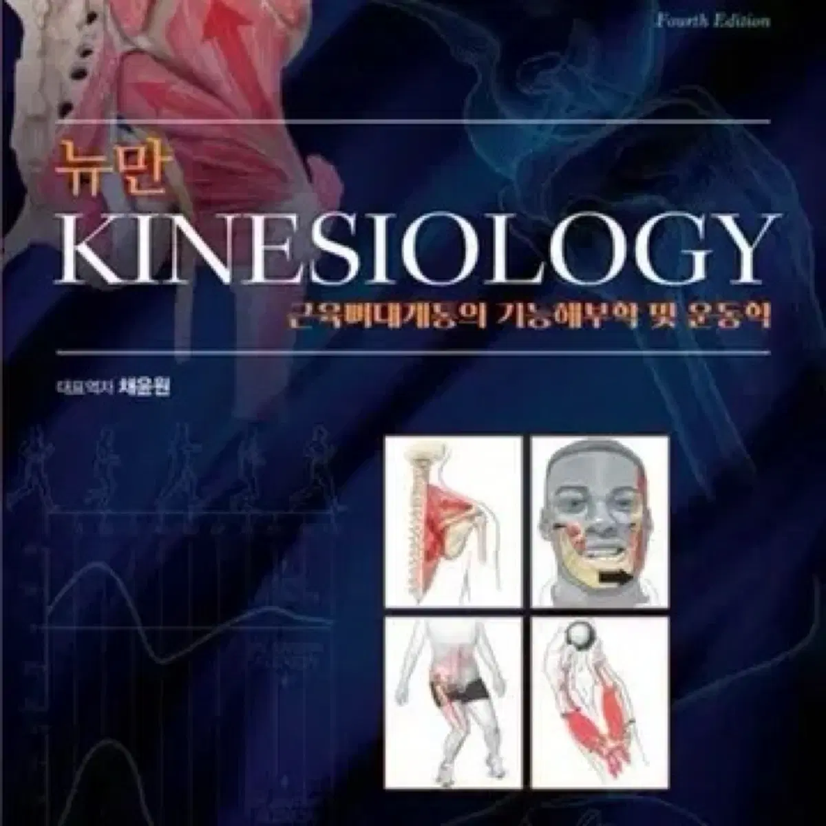 뉴만 kinesiology 4판 pdf 구합니다!