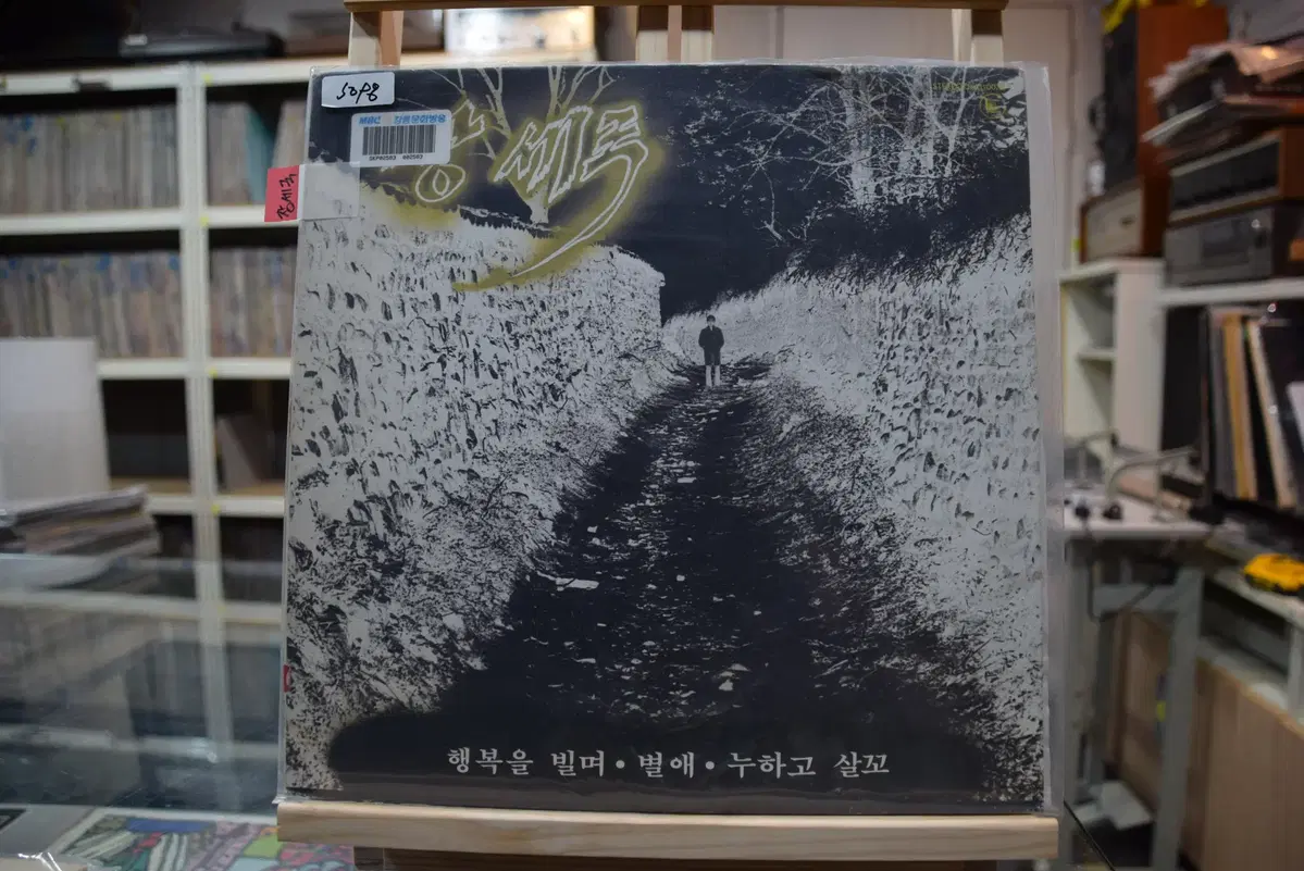 장세국 민트 : 행복을 빌며