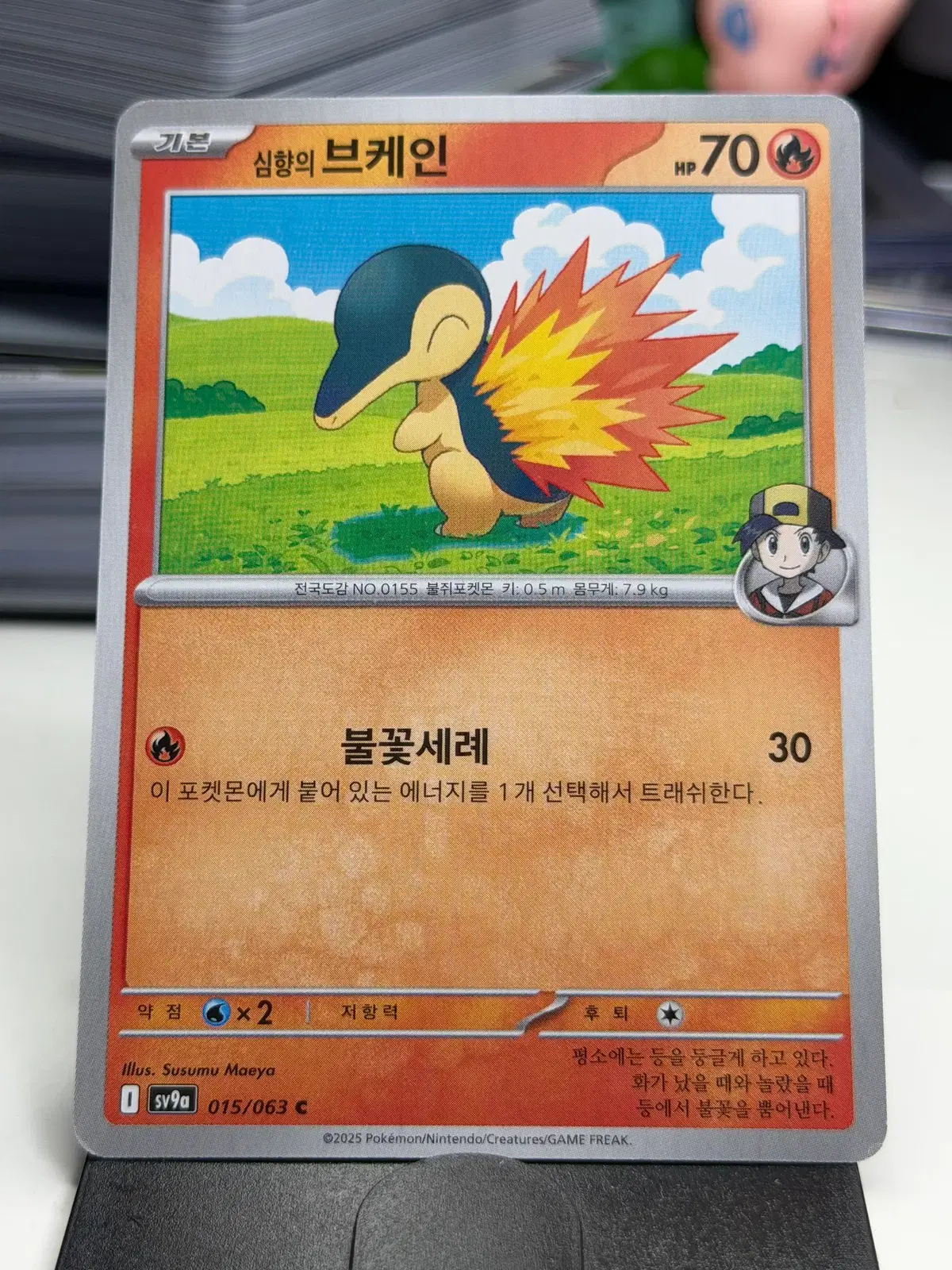 심향의 브케인 sv9a 015/063 C (300원)