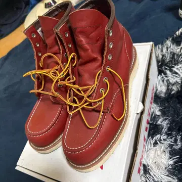 RED WING 8875 아이리쉬 세터 부츠 26cm