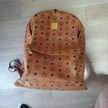 MCM 백팩 tisa phenomenon