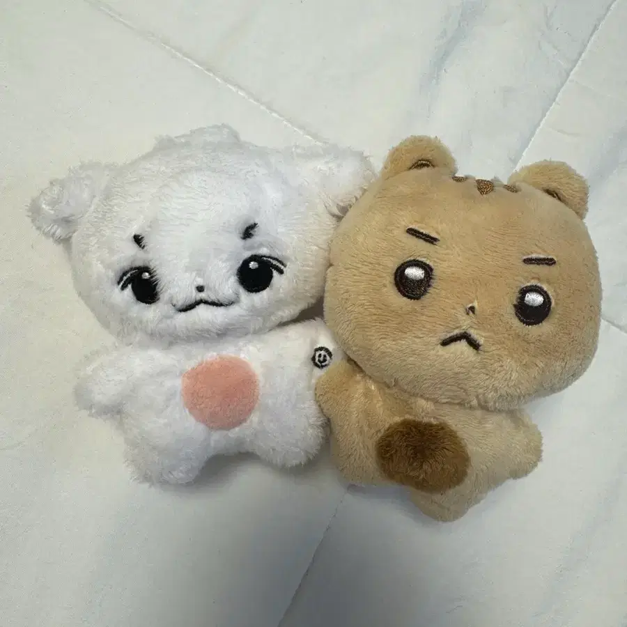 루시 엽톨이 차니쮸 상엽 예찬