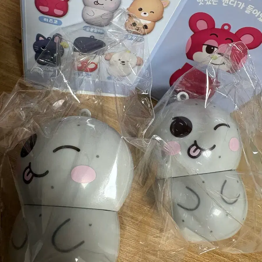 라이즈 보틀캔디