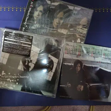 Acid Black Cherry 겨울의 환상 2종 세트