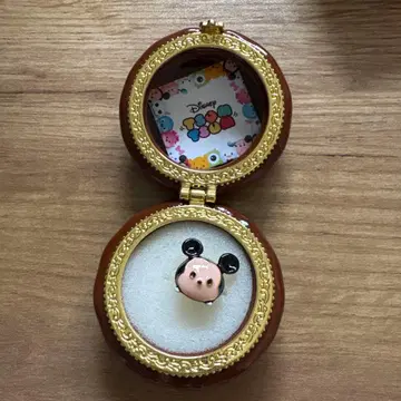 Disney floats! 투링 디즈니 썸썸 미키