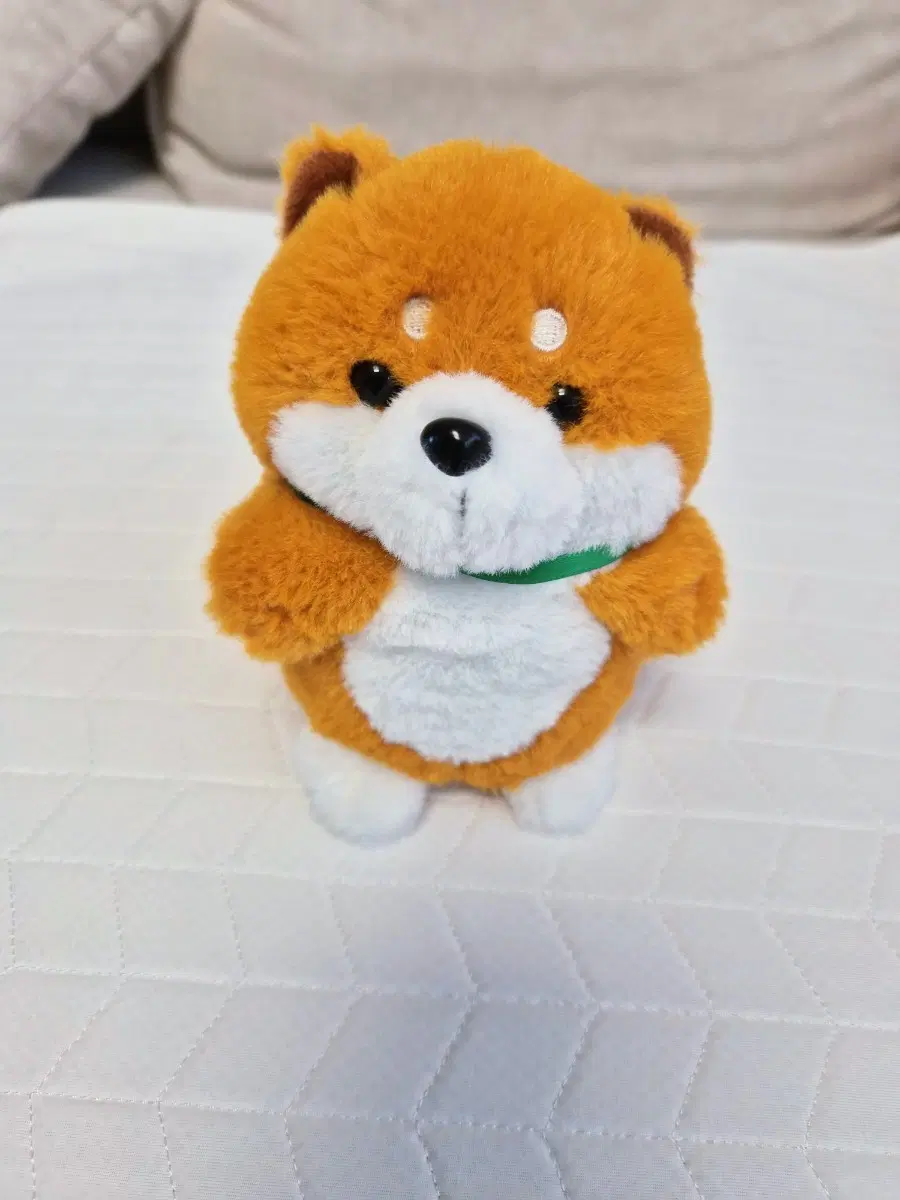 말을 따라하는 시바견인형(일본직구)