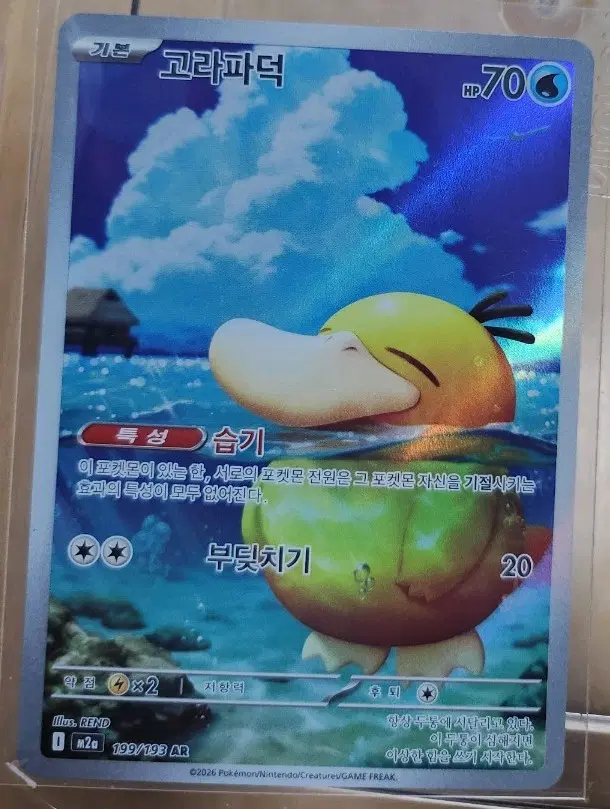 포켓몬 카드 고라파덕 AR